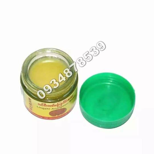Lingzhi Analgesic Balm
