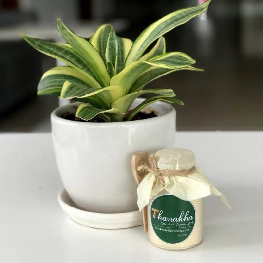 bột đắp mặt thanakha 2