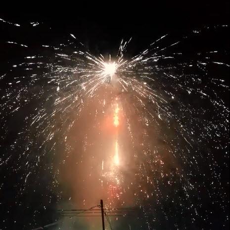 tỏi cô đơn Miến Điện