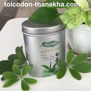 Bạch trà, trà trắng