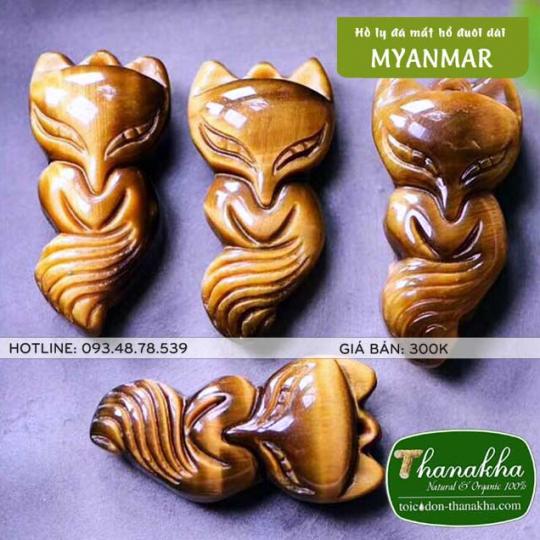 Hồ ly đá mắt hổ Miến Điện