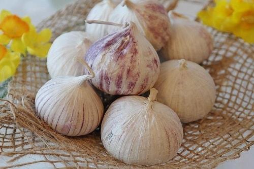 Có nên dùng tỏi cô đơn Trung Quốc