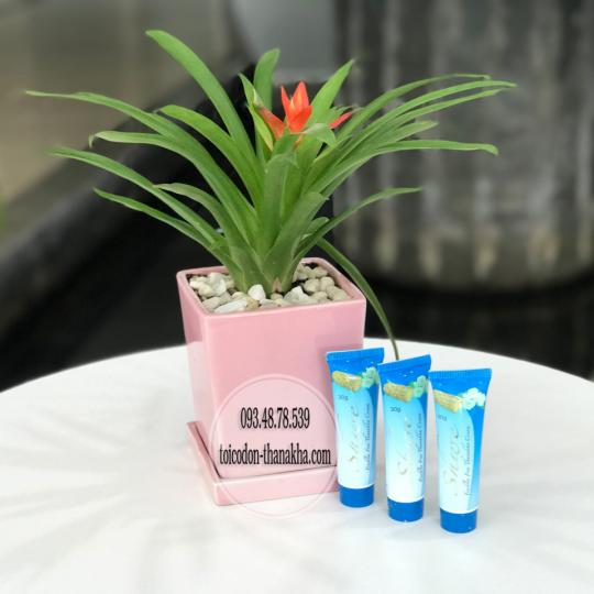 Tuýp trị nám Thanakha